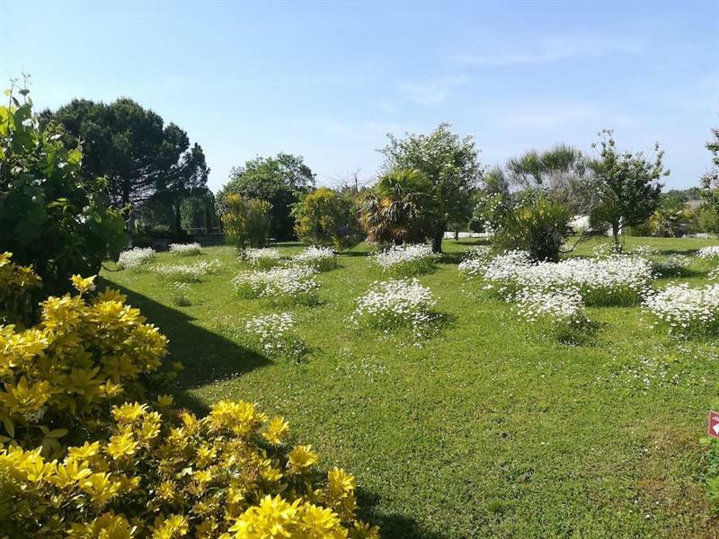 Le Pigeonnier Du Perron Hotel أفايْ المظهر الخارجي الصورة